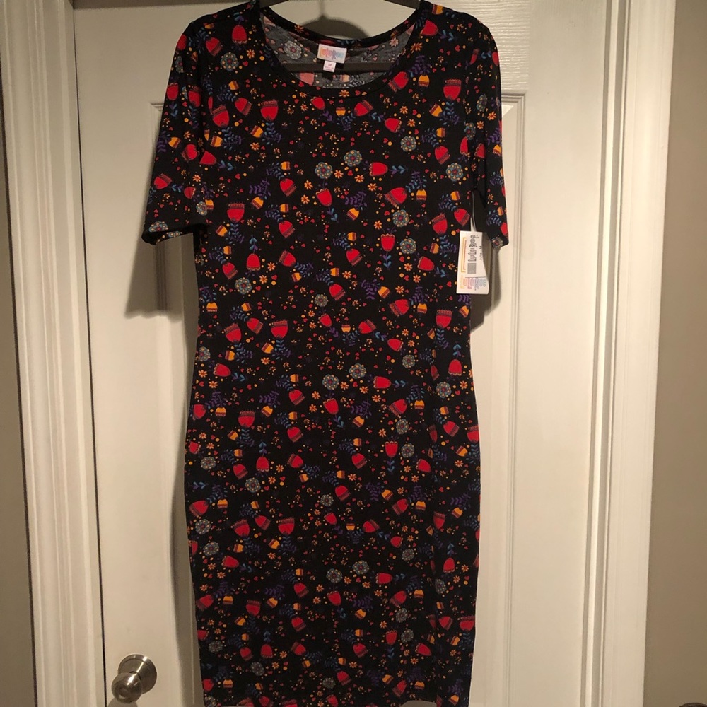 LuLaRoe NWT Julia dress!